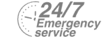 24/7 Emergency Service Pest Control in Plumstead, SE18. Call Now! 020 8166 9746