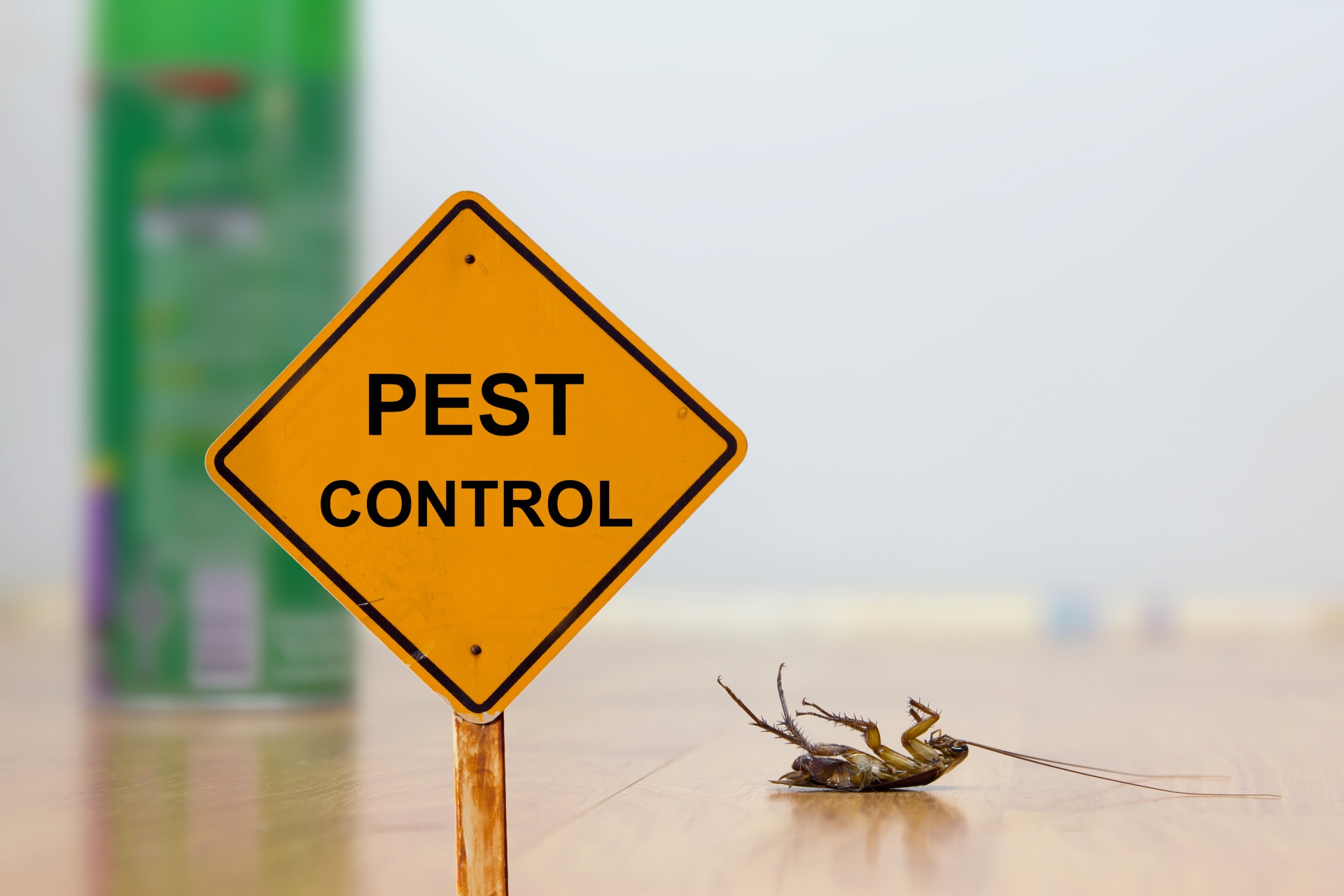 24 Hour Pest Control, Pest Control in Plumstead, SE18. Call Now 020 8166 9746